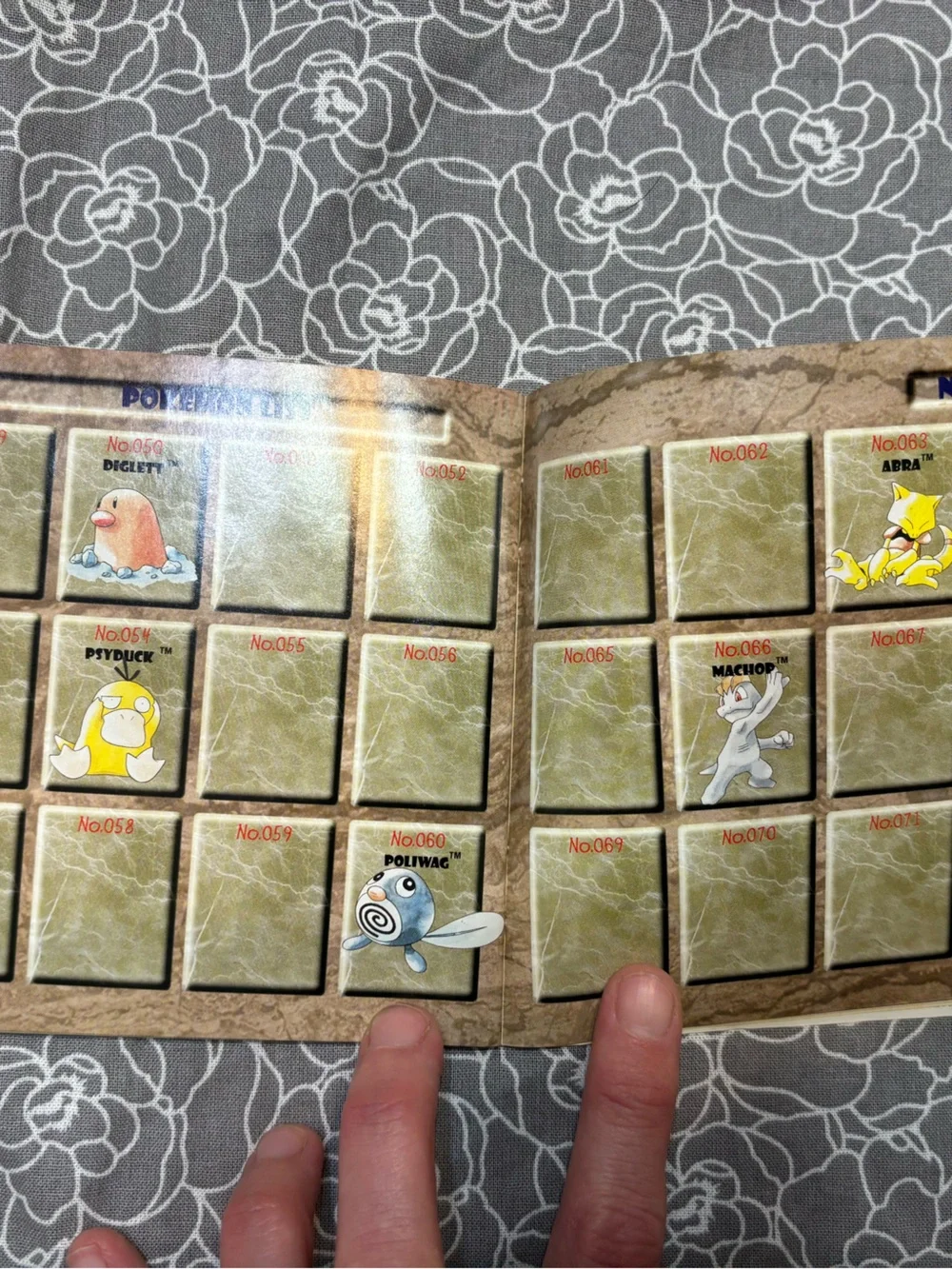 Nintendo Pokémon Trainer's Guide & Rules Booklets - Brown and Blue